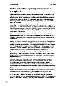 Term paper on schizophrenia