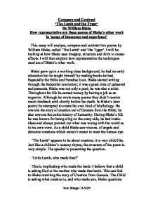 Essay on the tyger by william blake
