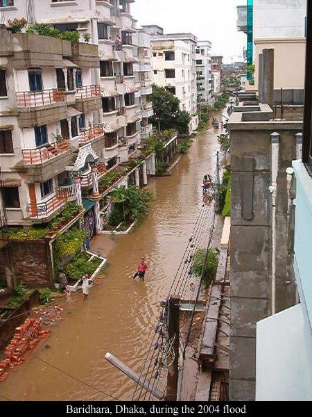 Essay on rehabilitation of flood affected