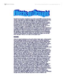 essay on drought